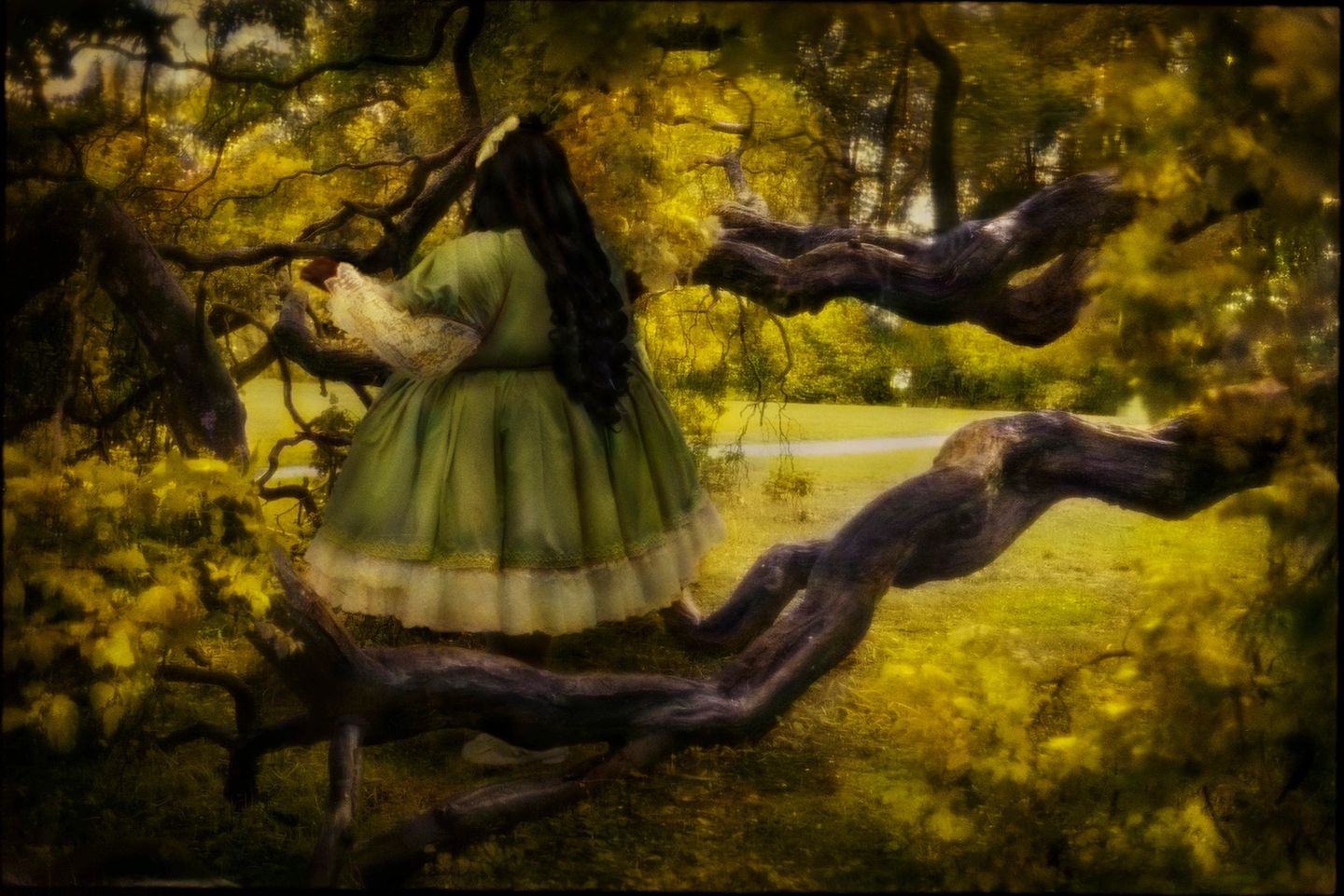 A woman in green dress standing on tree branch.