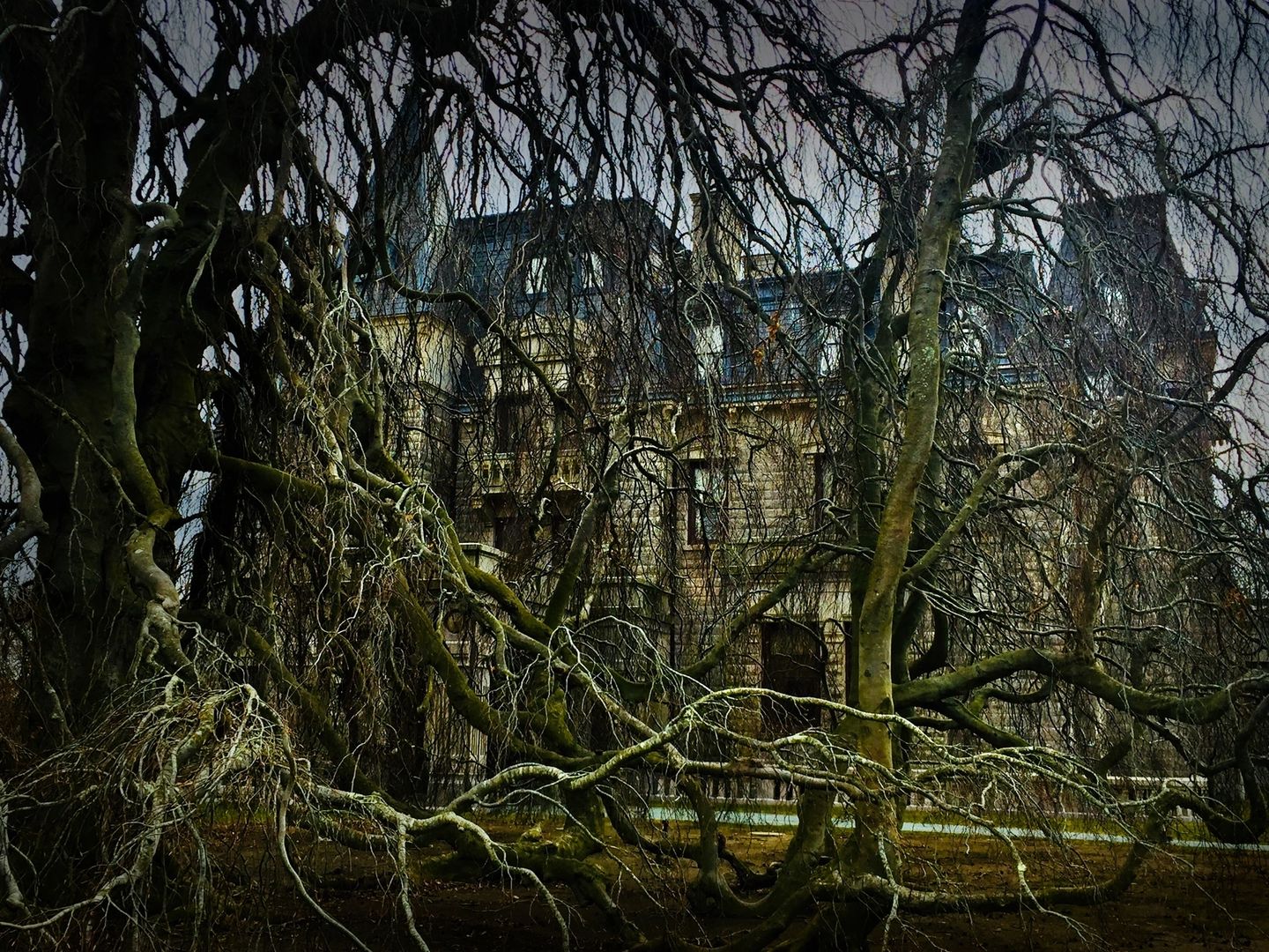 A creepy picture of an old house with trees.
