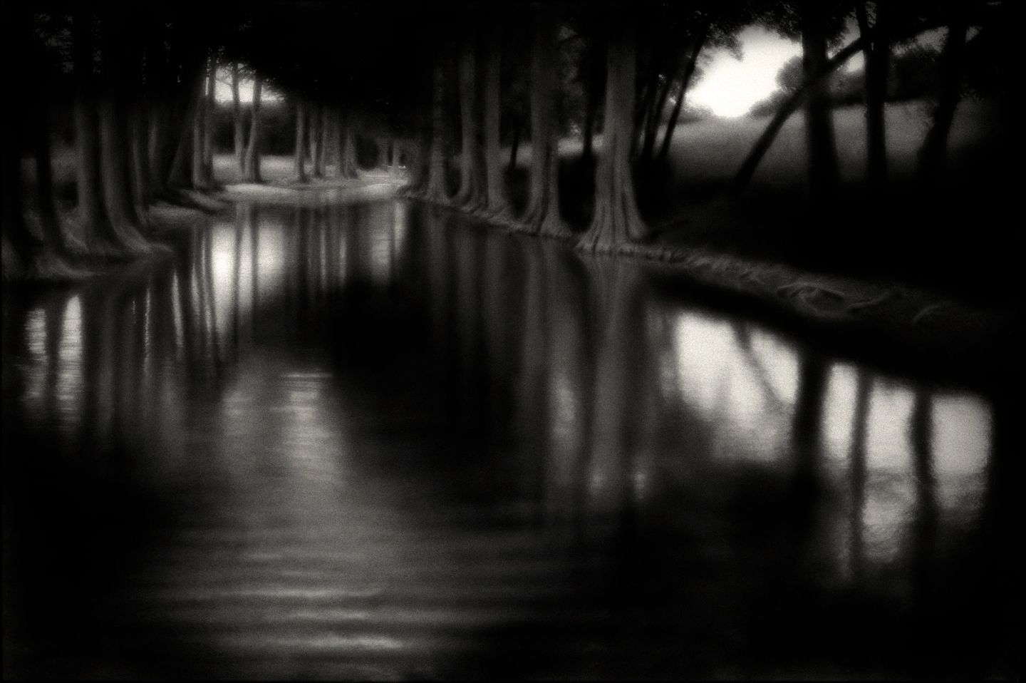 A black and white photo of trees, water and a bridge.