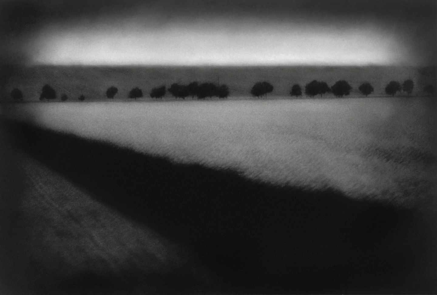 A black and white photo of trees in the distance.