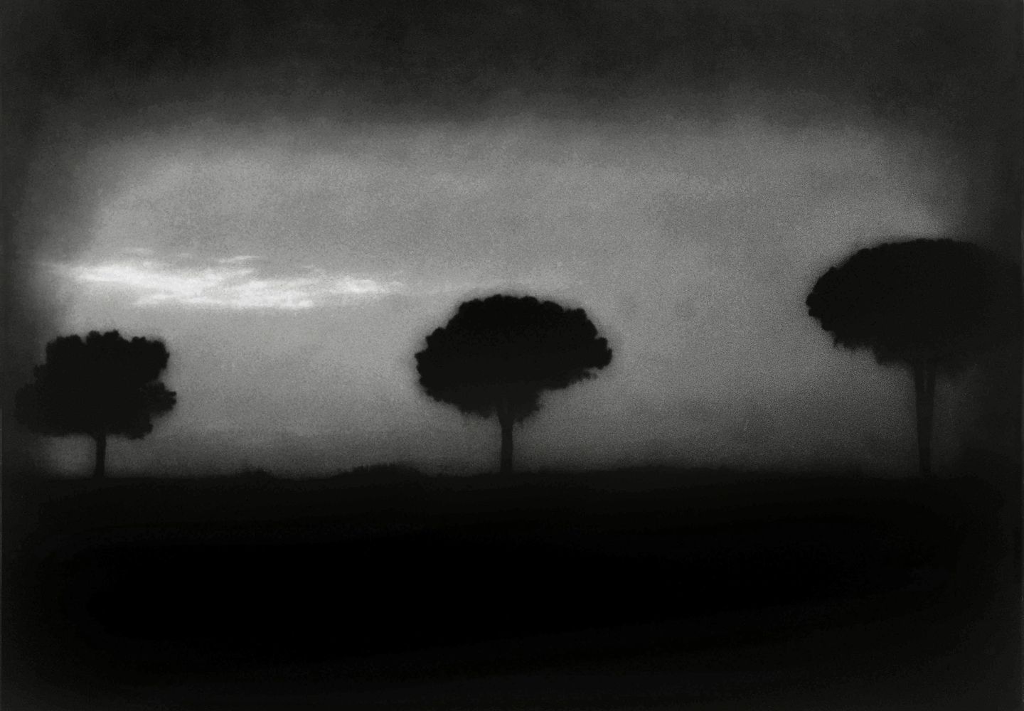 A black and white photo of trees in the distance.