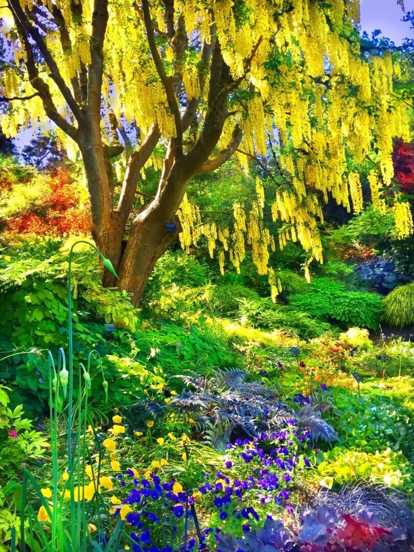 A painting of trees and flowers in the garden