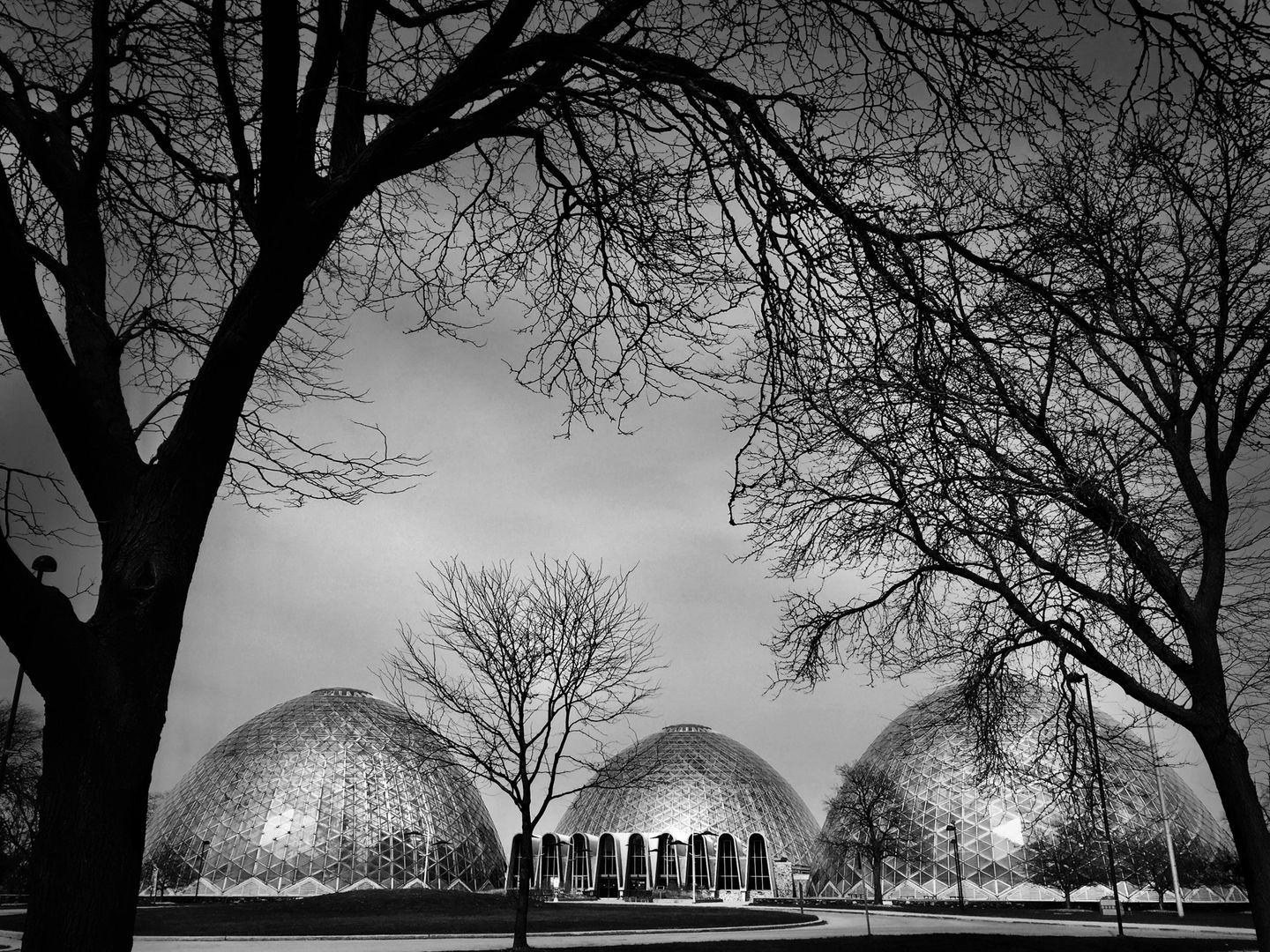 A black and white photo of trees in front of domes.