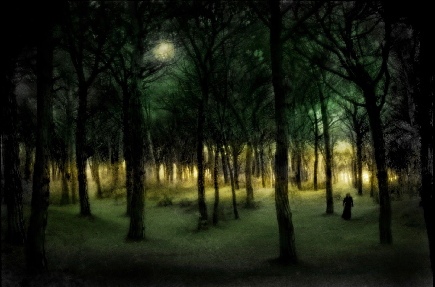 A painting of trees in the woods at night.