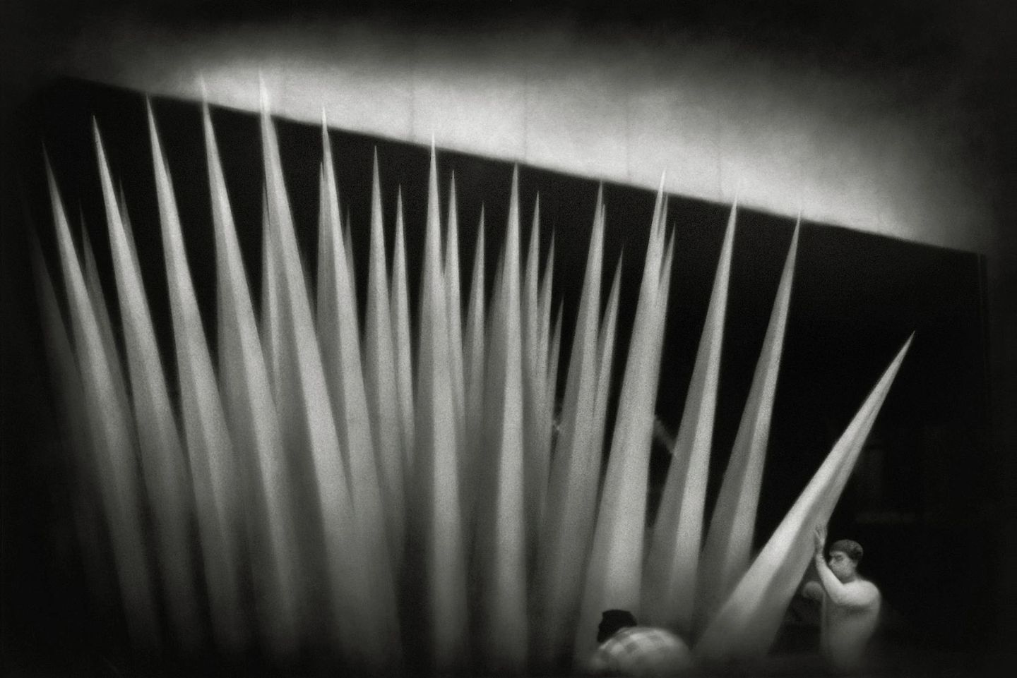 A black and white photo of some long needles.