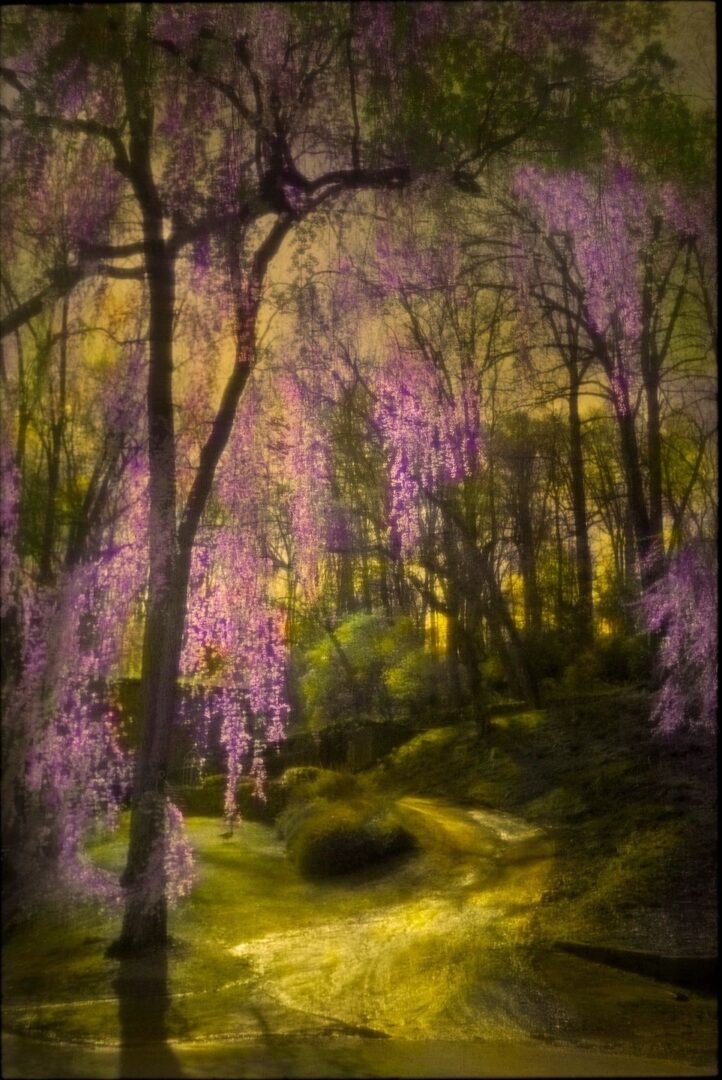 A painting of trees with purple flowers in the background.