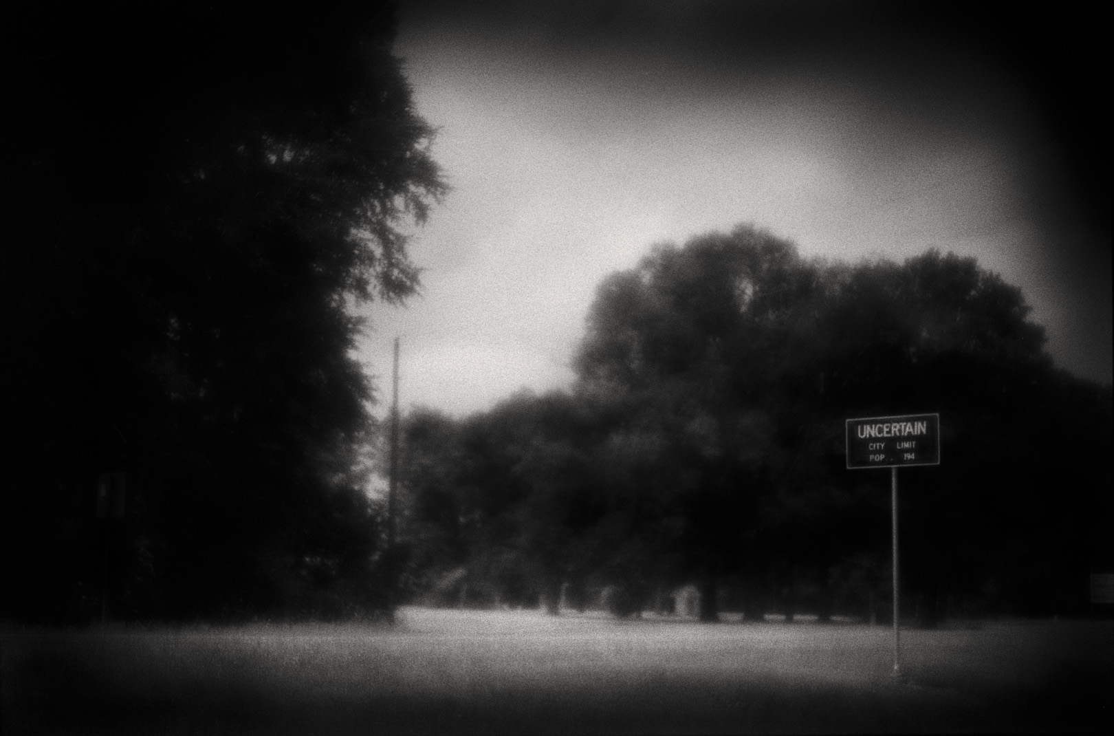 A black and white photo of trees, grass and a road.