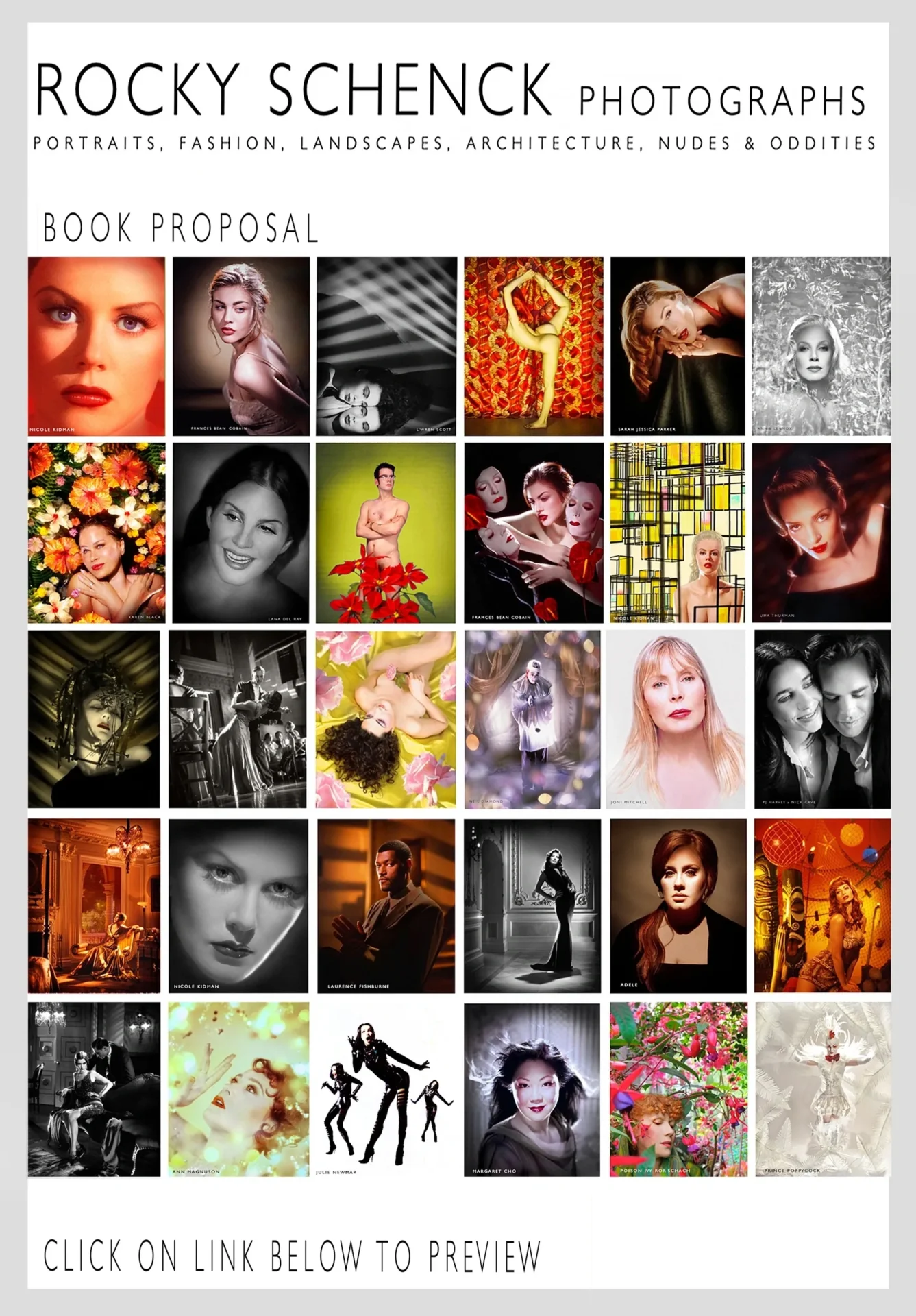 WebsiteBookProposal copy