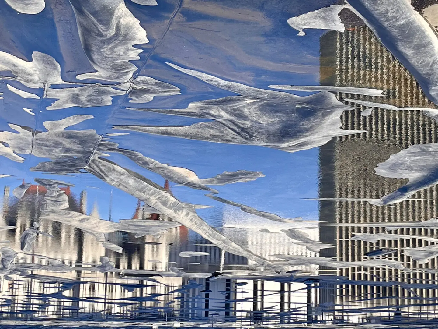 Albany By Rocky Schenck