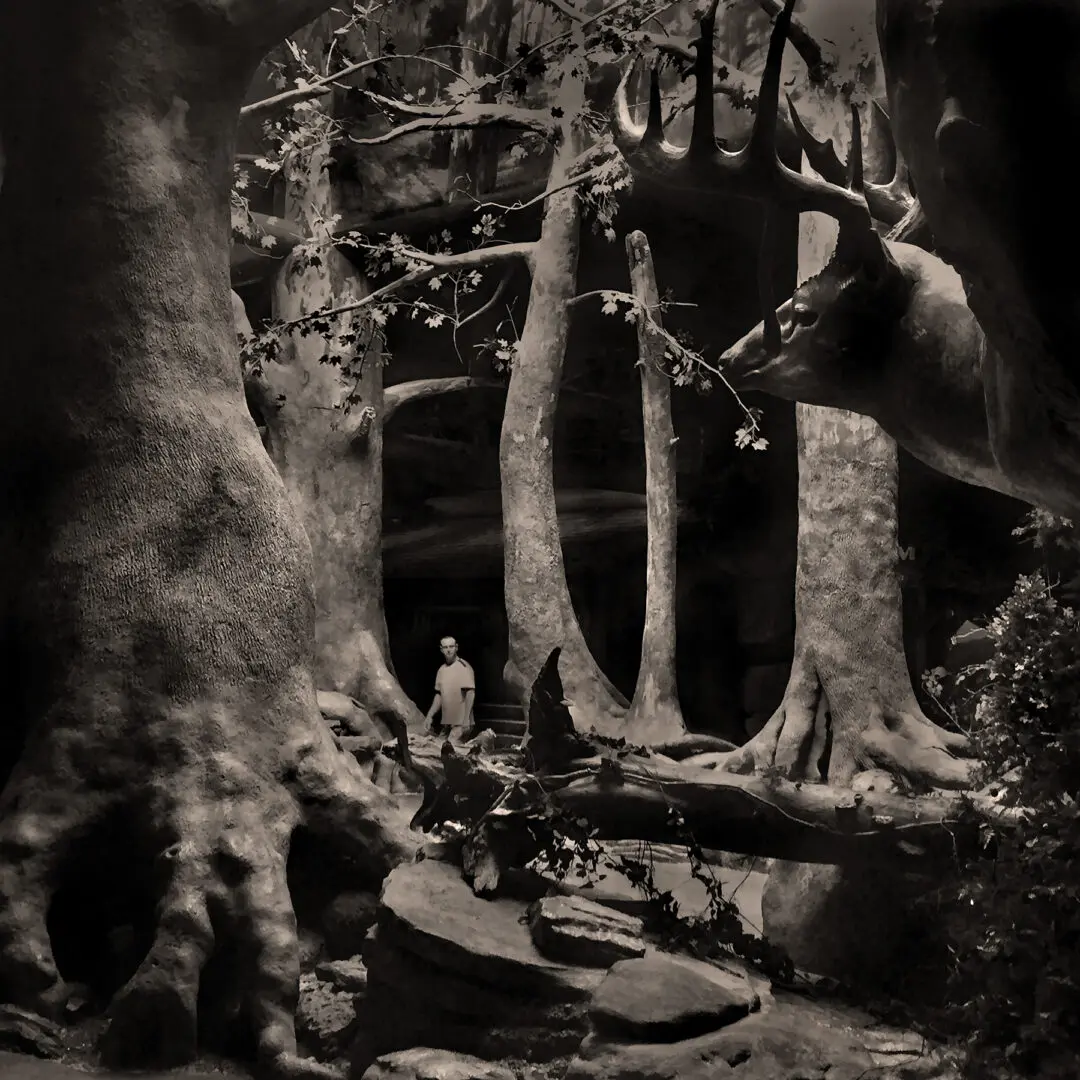 Artifical Forest By Rocky Schenck