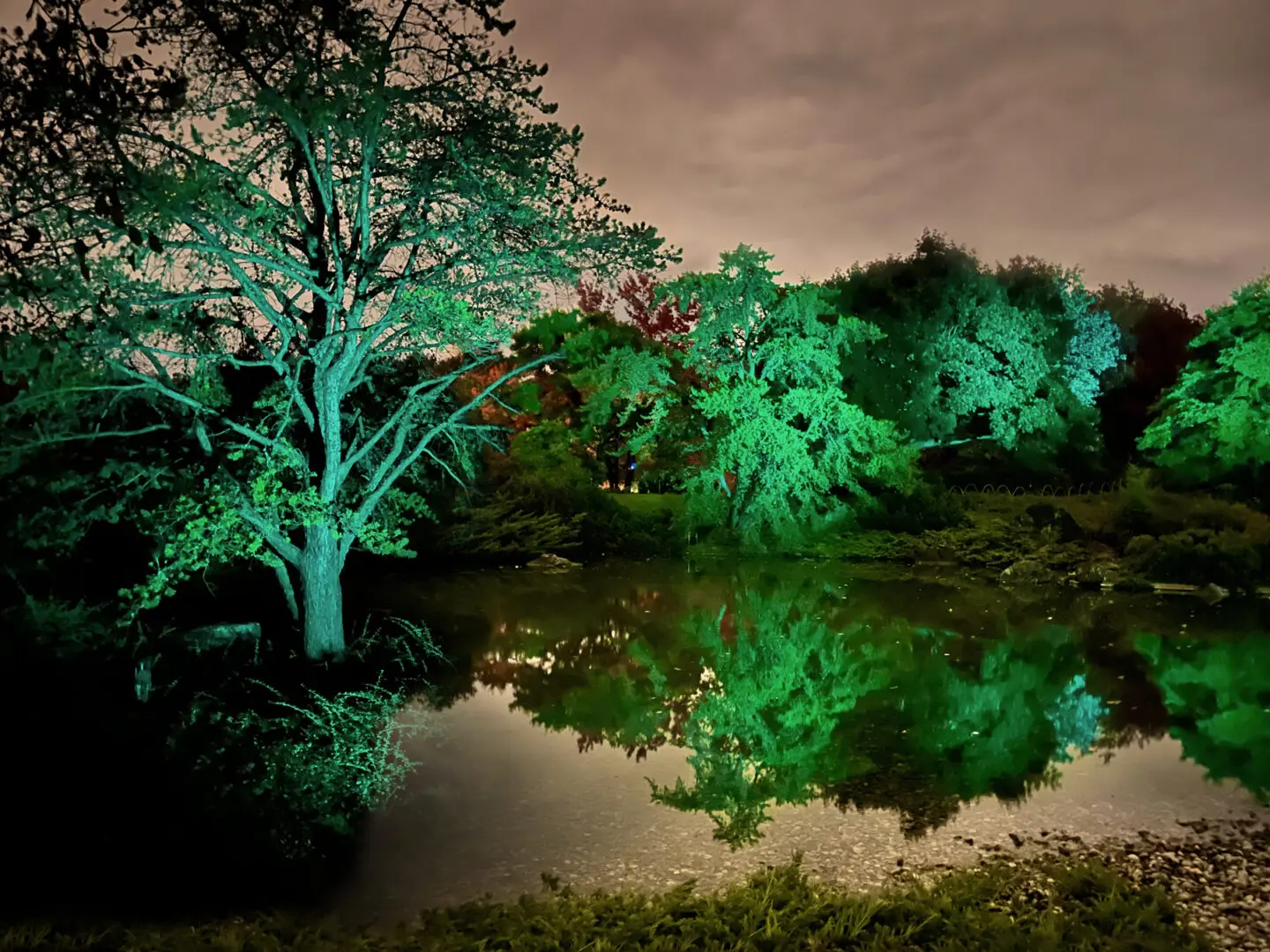Green by Rocky Schenck