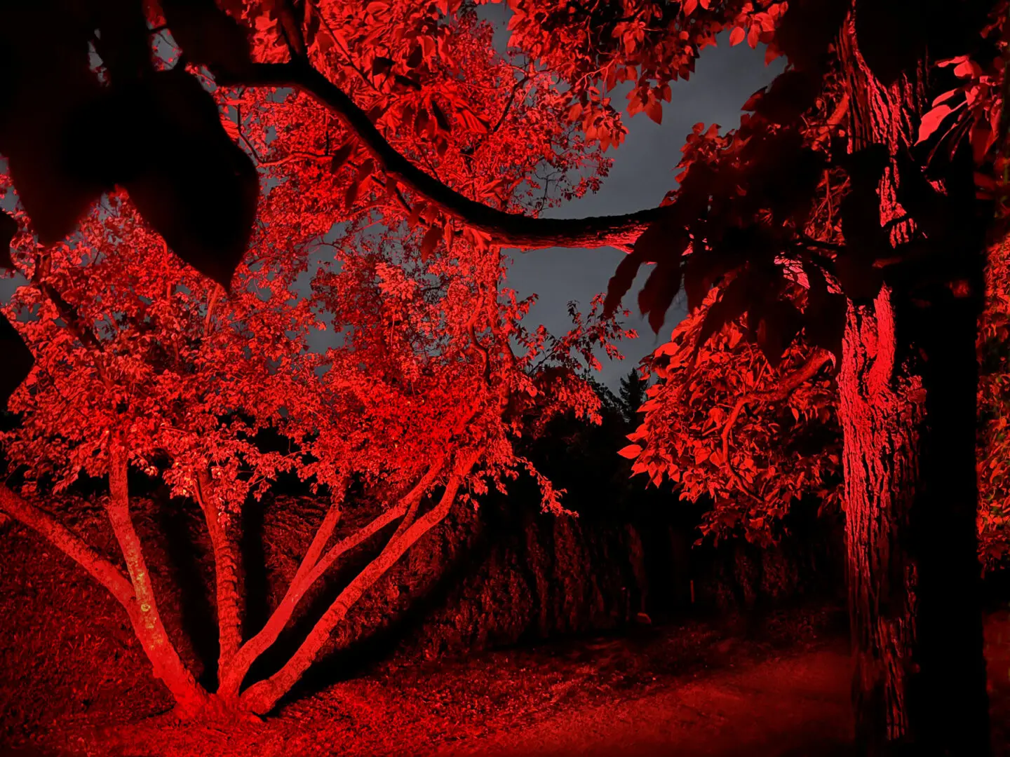 Landscape 17b by Rocky Schenck