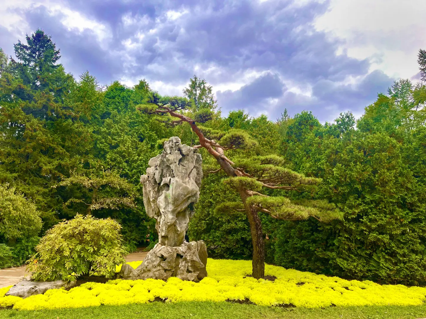 Landscape 7B By Rocky Schenck