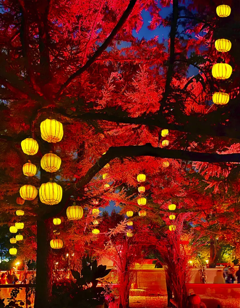 Lanterns By Rocky Schenck