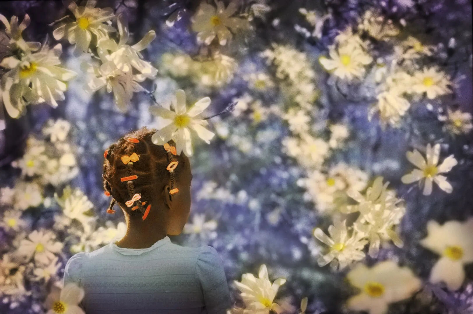Lovely By Rocky Schenck