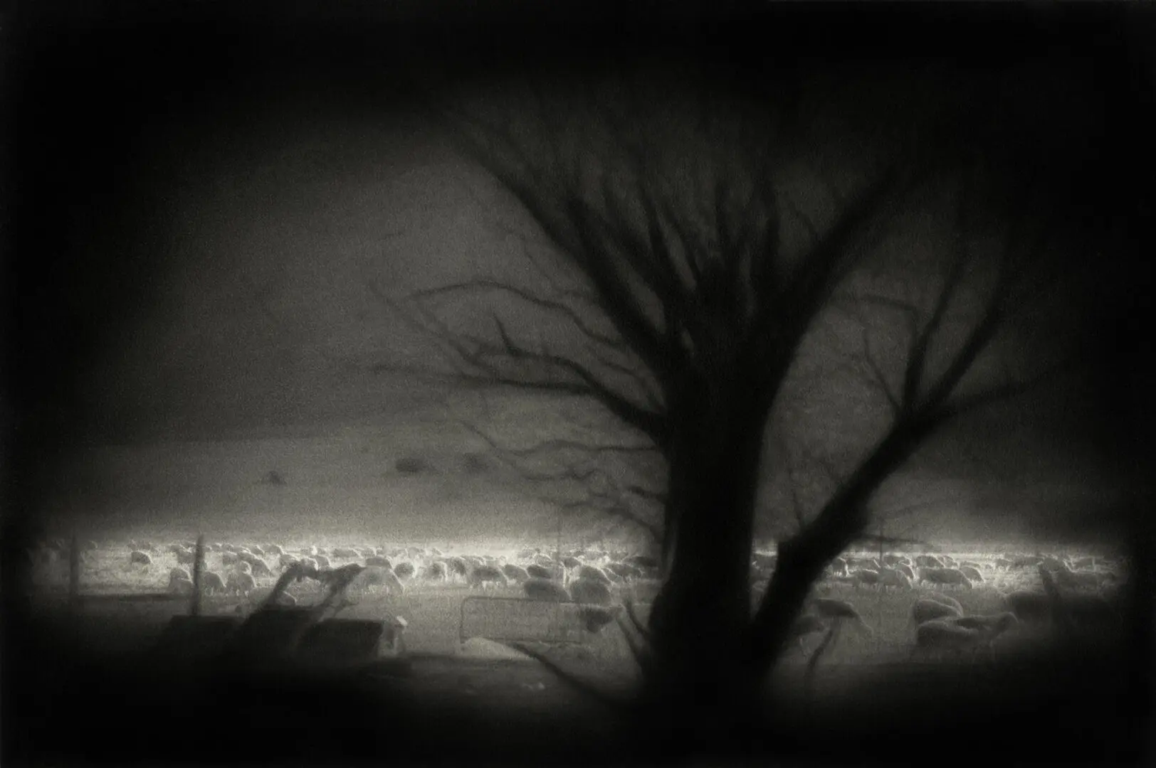 Near Bishop By Rocky Schenck