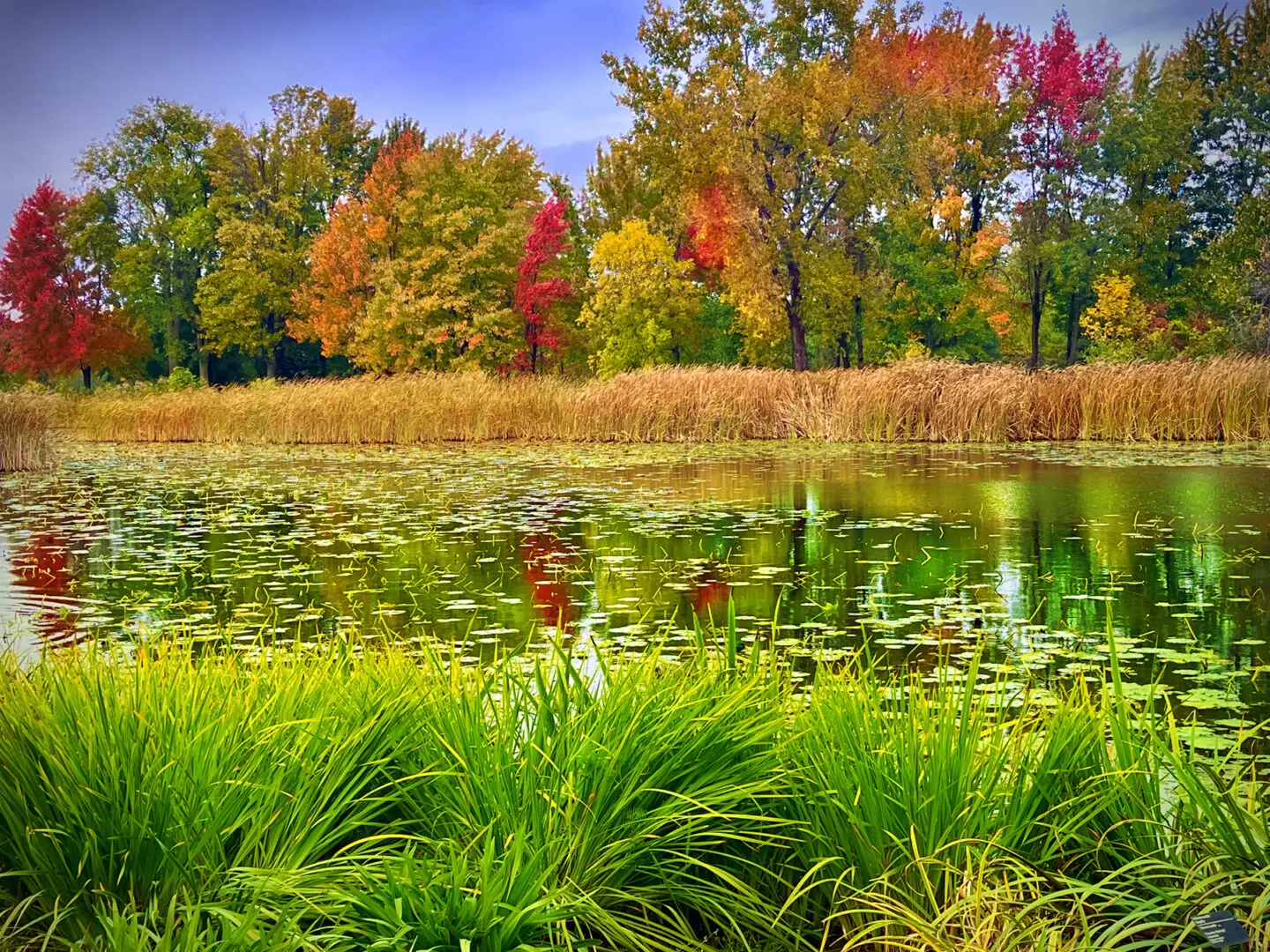 Landscape #57 by Rocky Schenck