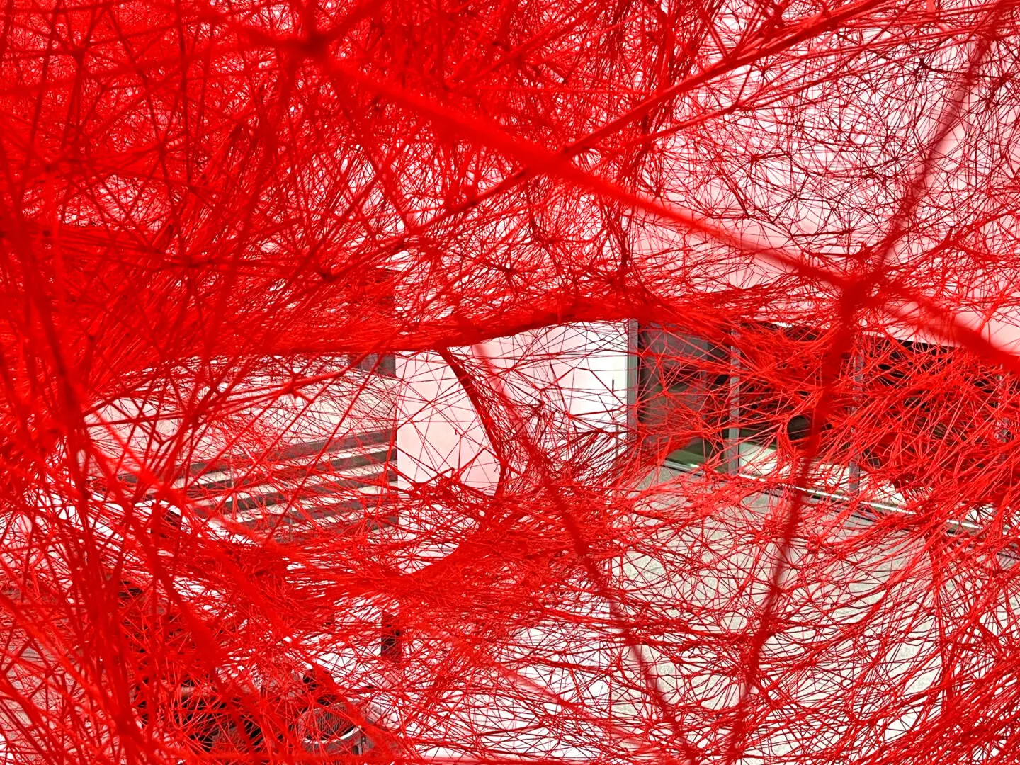 Red By Rocky Schenck