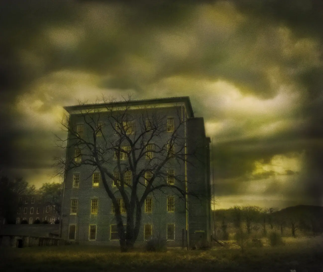 Thirty Years By Rocky Schenck